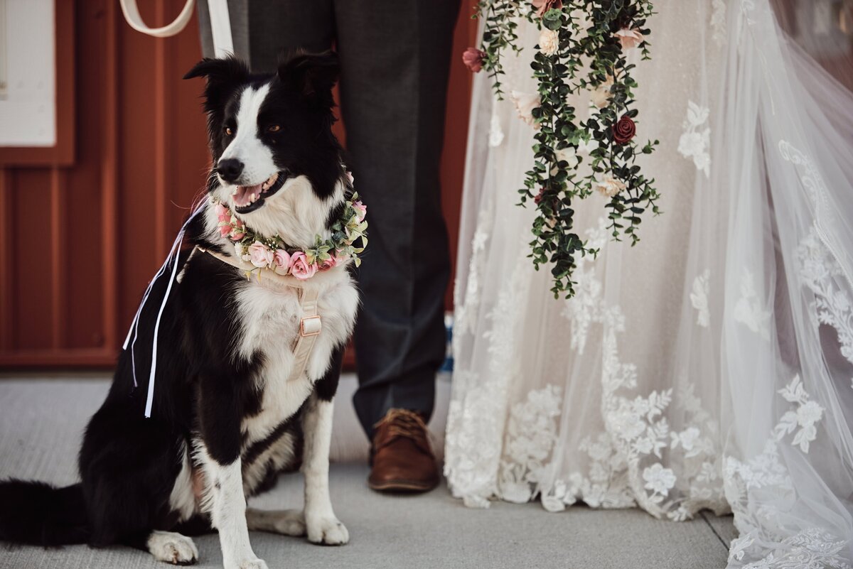 Sunset Hill Wedding Barn Central Lake, Michigan Wedding_48