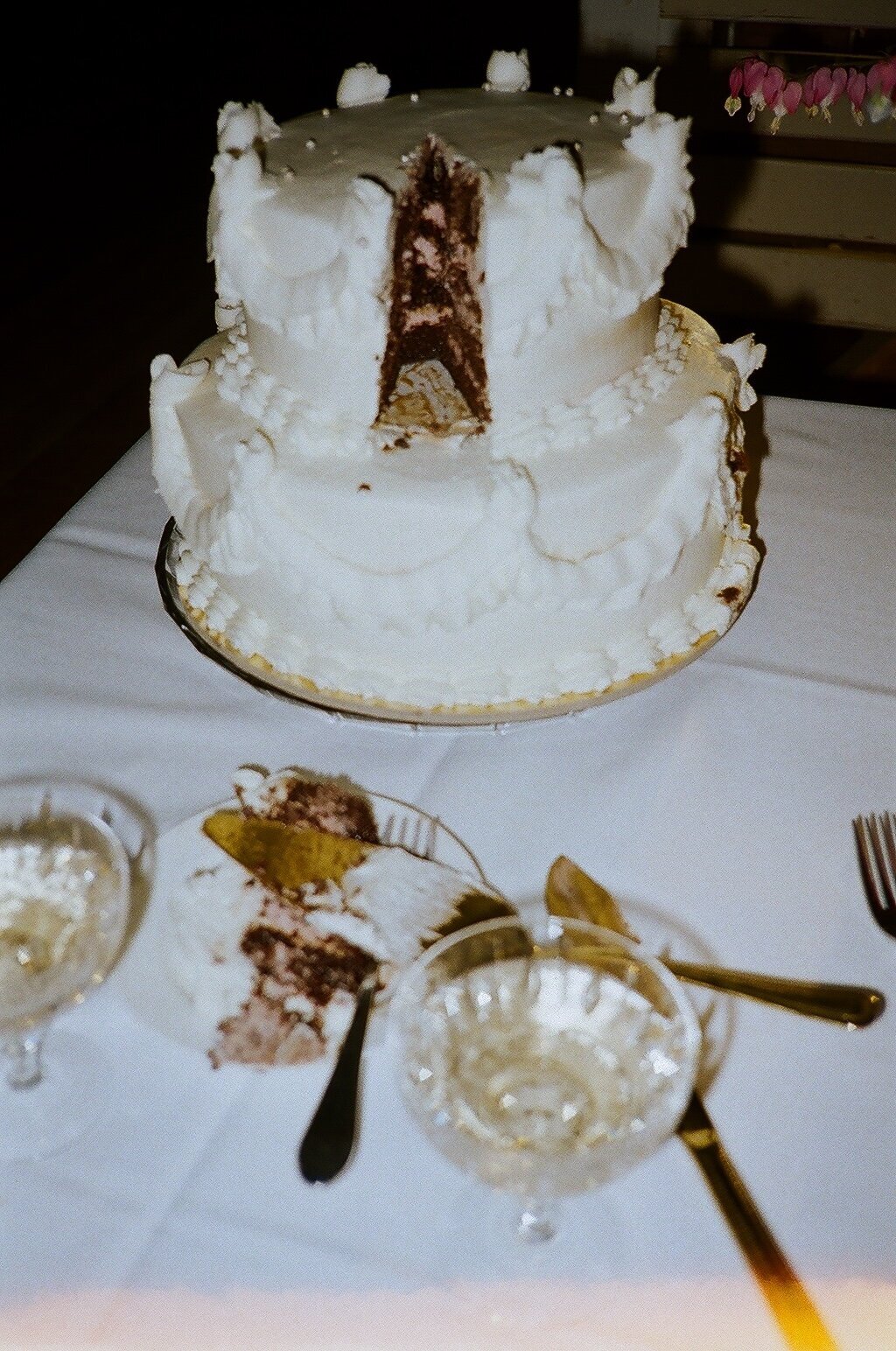 film-photography-winnipeg38