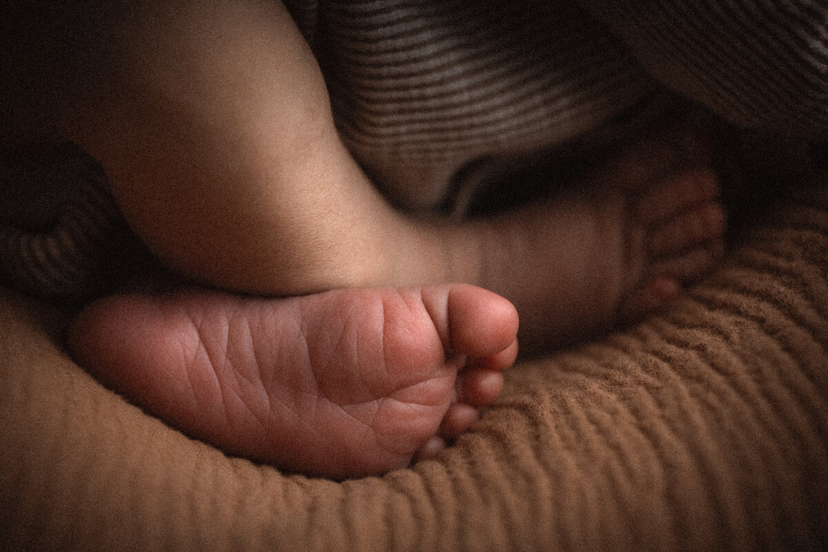 Newborn baby feet