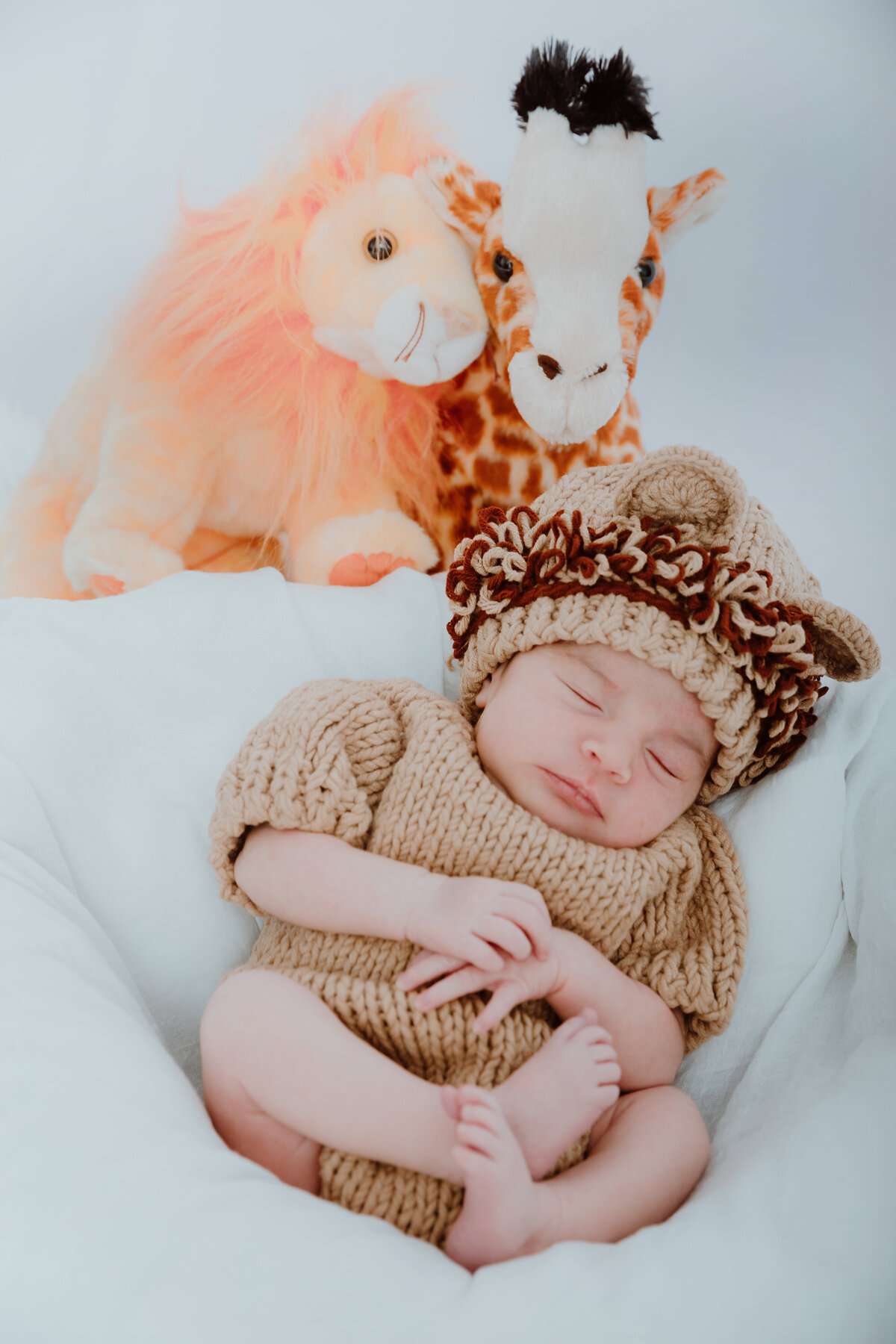 newborn session with giraffes