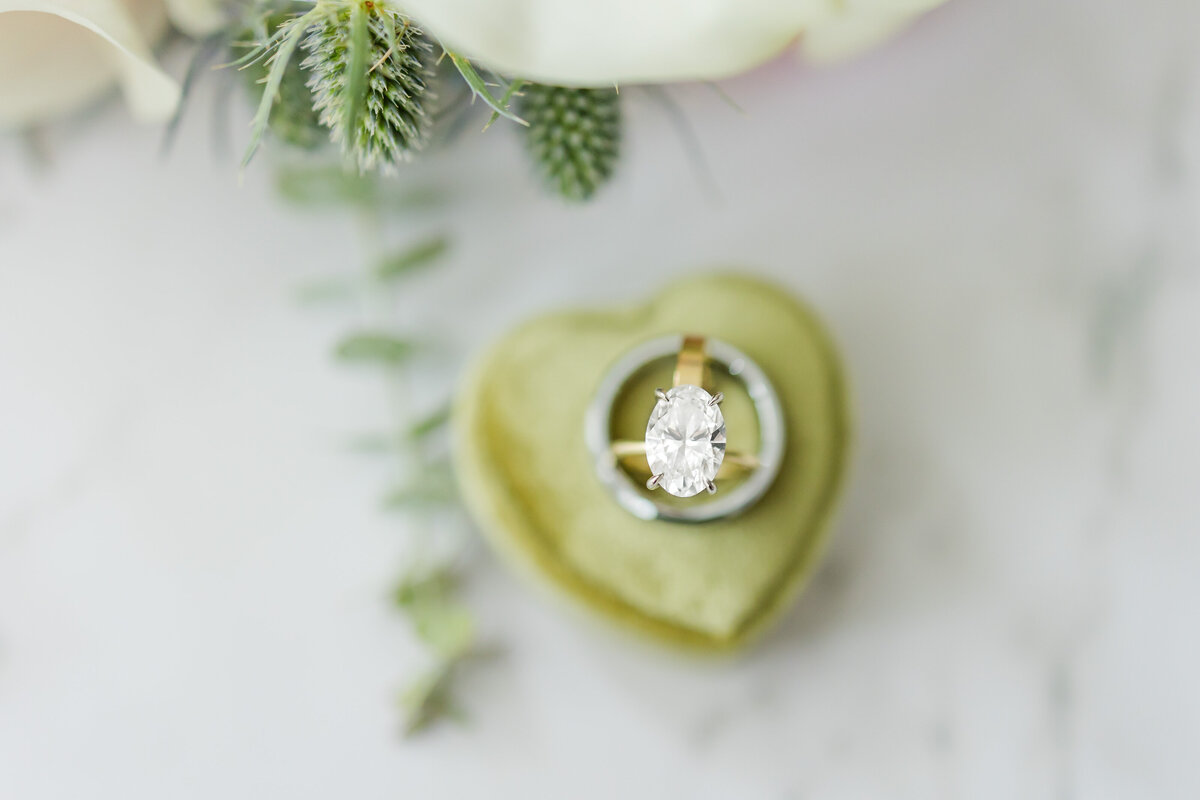 KatieShowalterPhotography_Ludwig-23