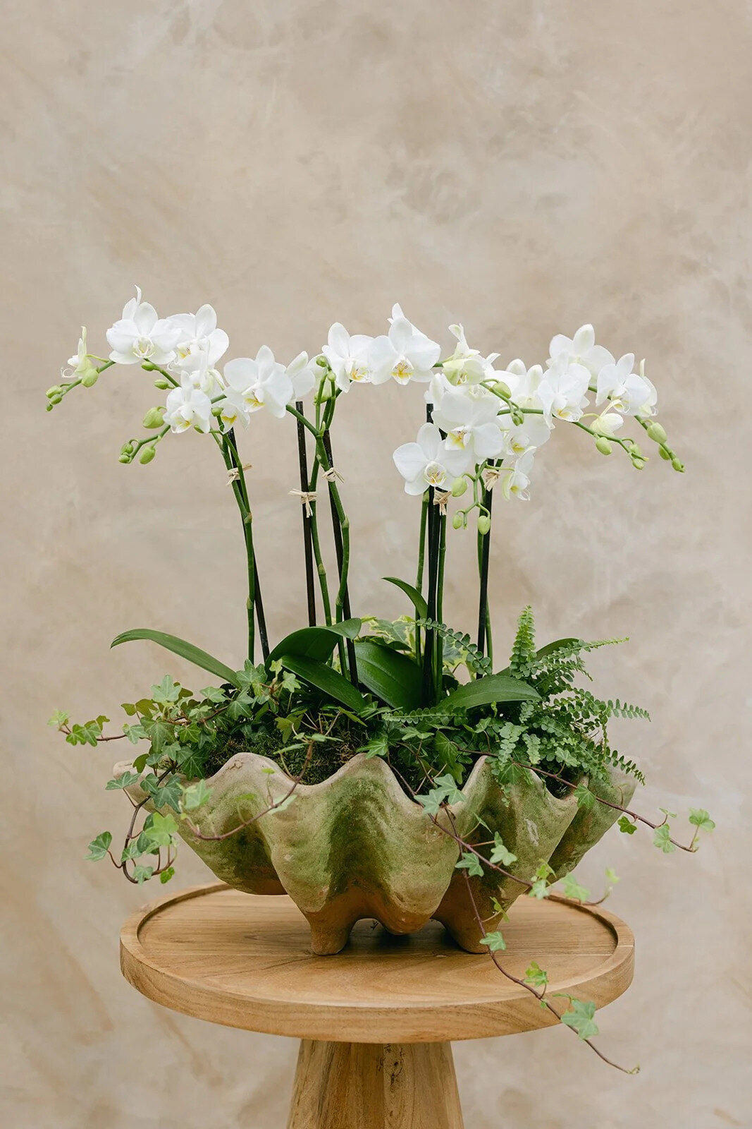 BellaJardinFleursMarinRebrand-2024-43