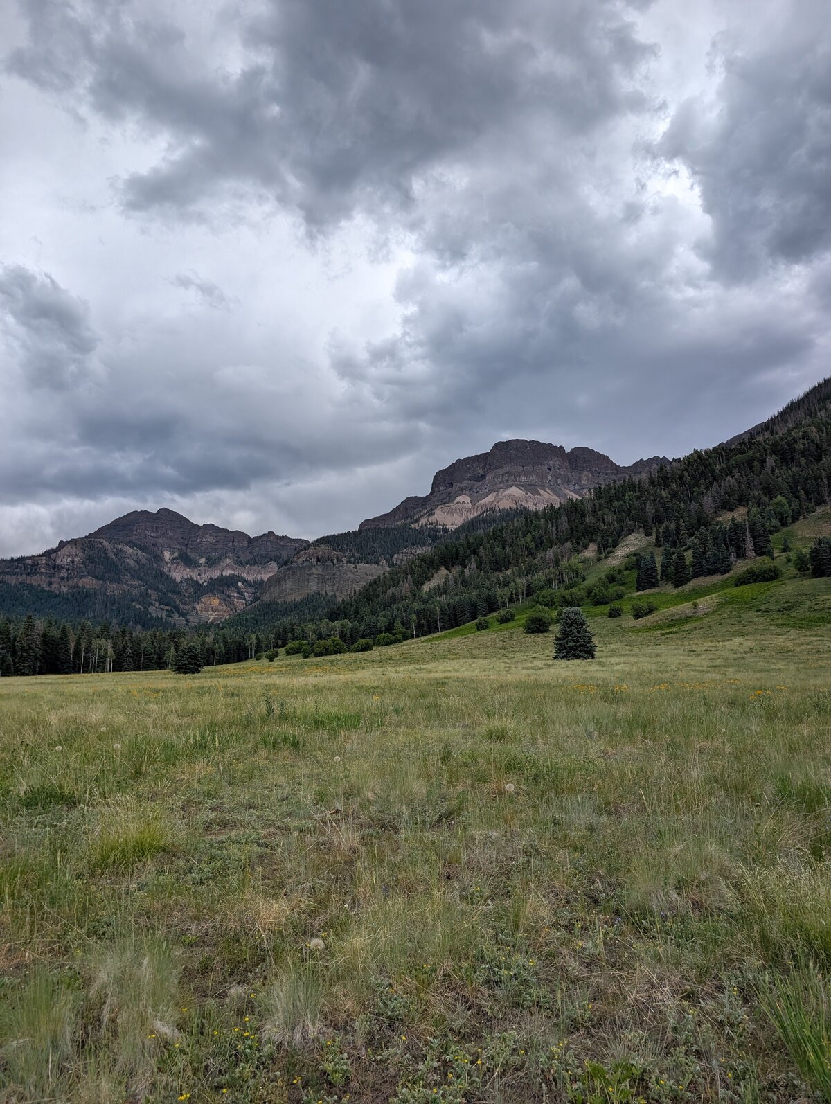 PXL_20250707_184531061.RAW-01.MP.COVER