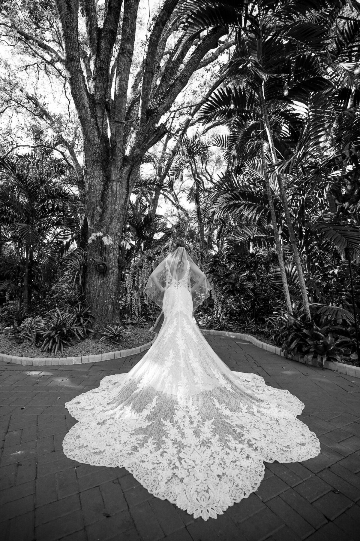 Sonju-Photography-Michelle-Cole-Living-Sculpture-25