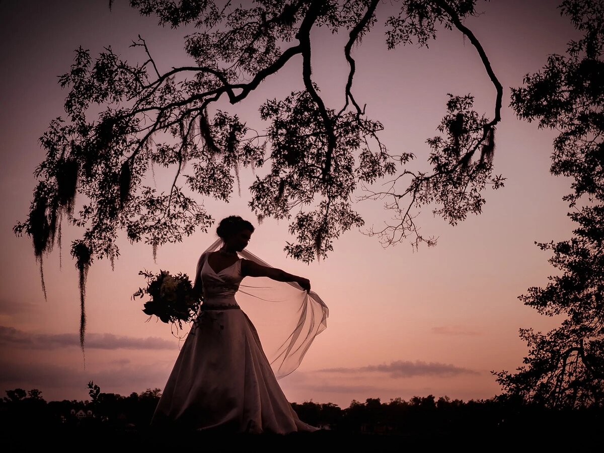 Bride standing under a Spanish moss tree at dusk, her dress and veil illuminated against the twilight sky in a serene setting