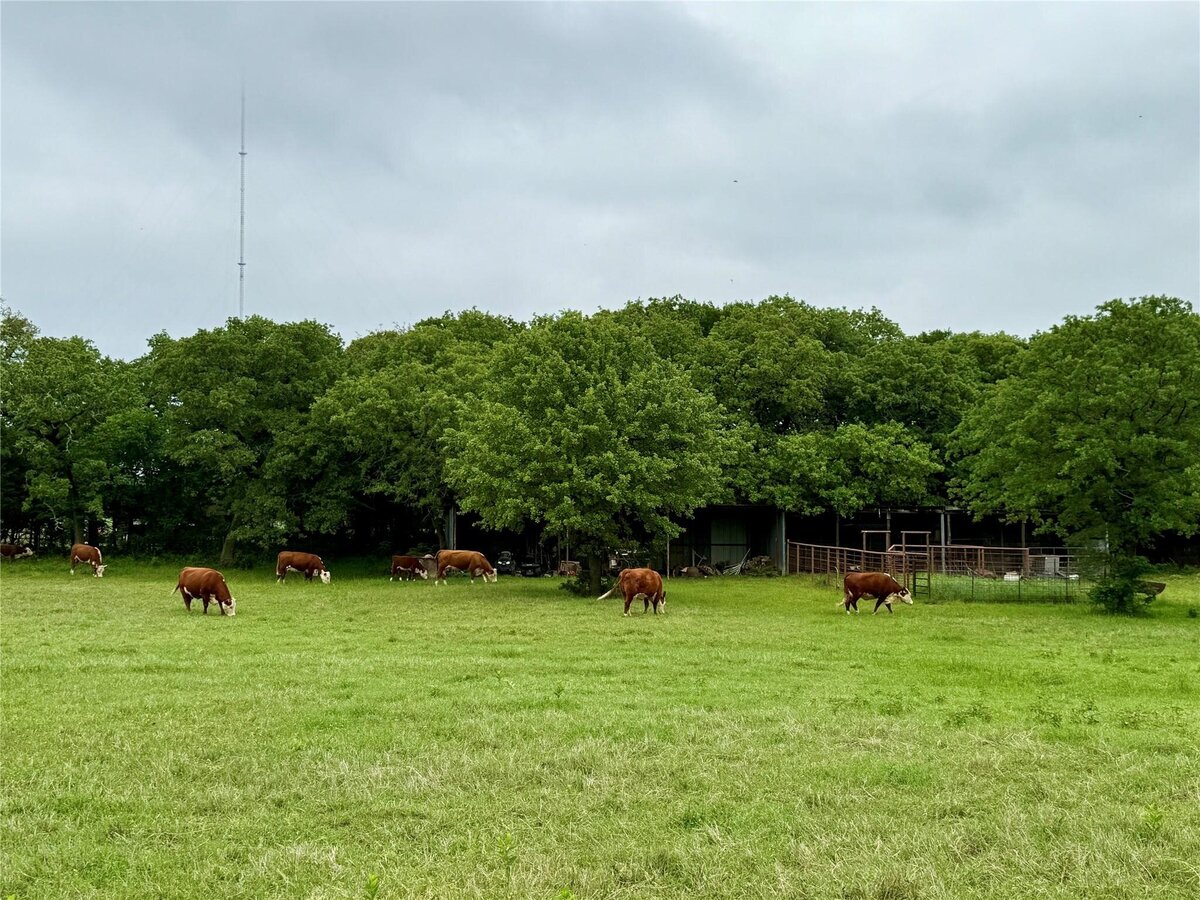 Aerial view of 16 acres with mature trees and pond in Collinsville, TX