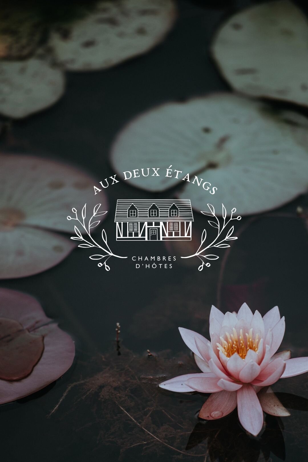 portfolio-bewildstudio-DE10
