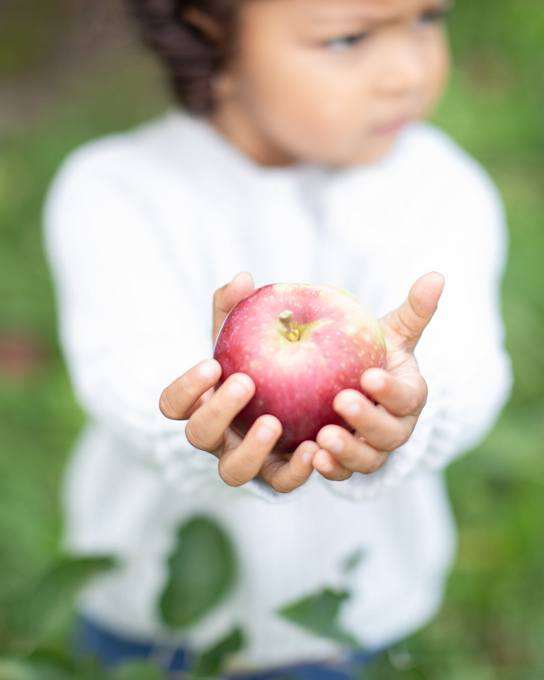 Syracuse New York Family Photographer; BLOOM by Blush Wood (33 of 50)