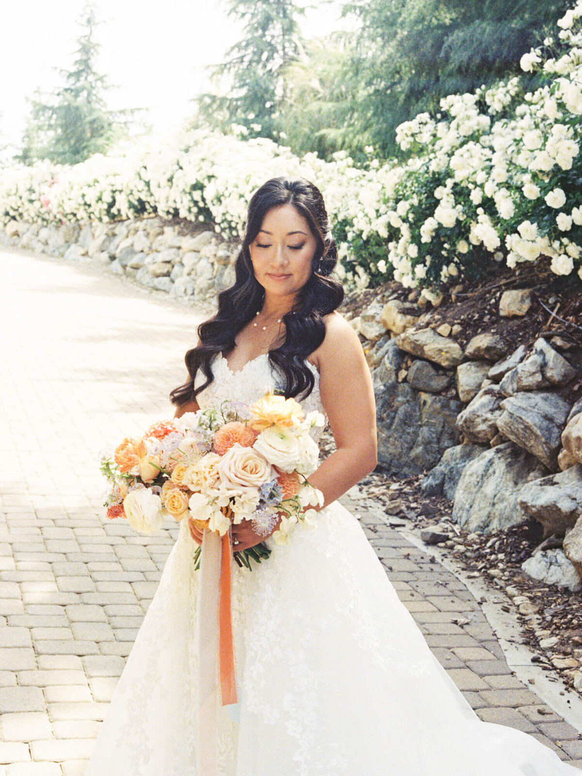 Bride in lace gown holds vibrant bouquet with peach and cream flowers. She stands on a sunlit stone path lined with white blooms, exuding serene elegance.