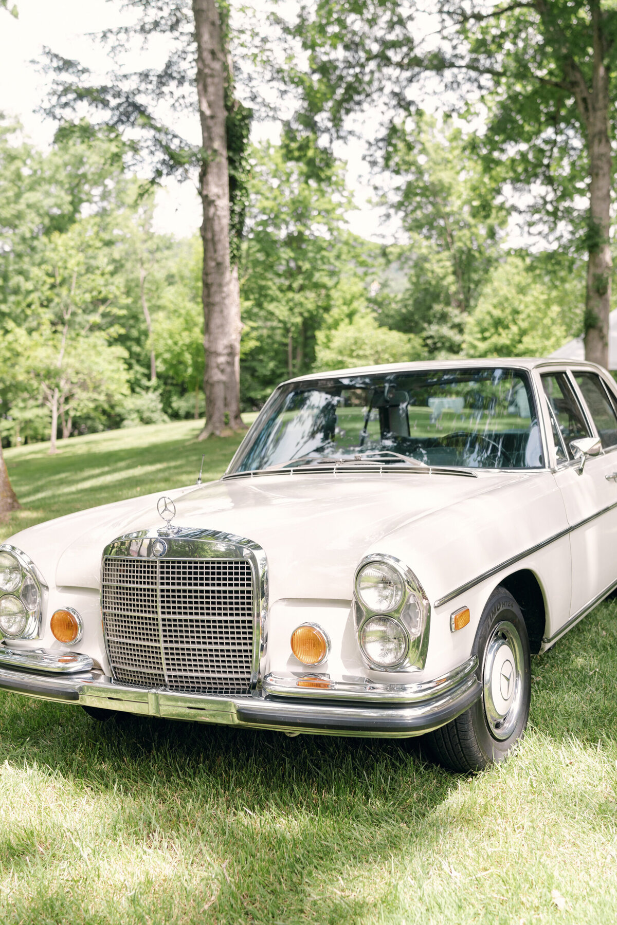 WVWedding-11