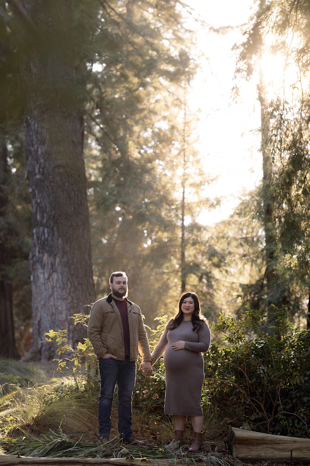 A romantic maternity portrait with golden light filtering through the trees, embodying cinematic wedding photography.