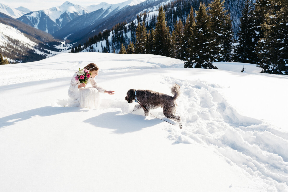 Sam-Murch-Photography-Ouray-Winter-Elopement-with-dog-72