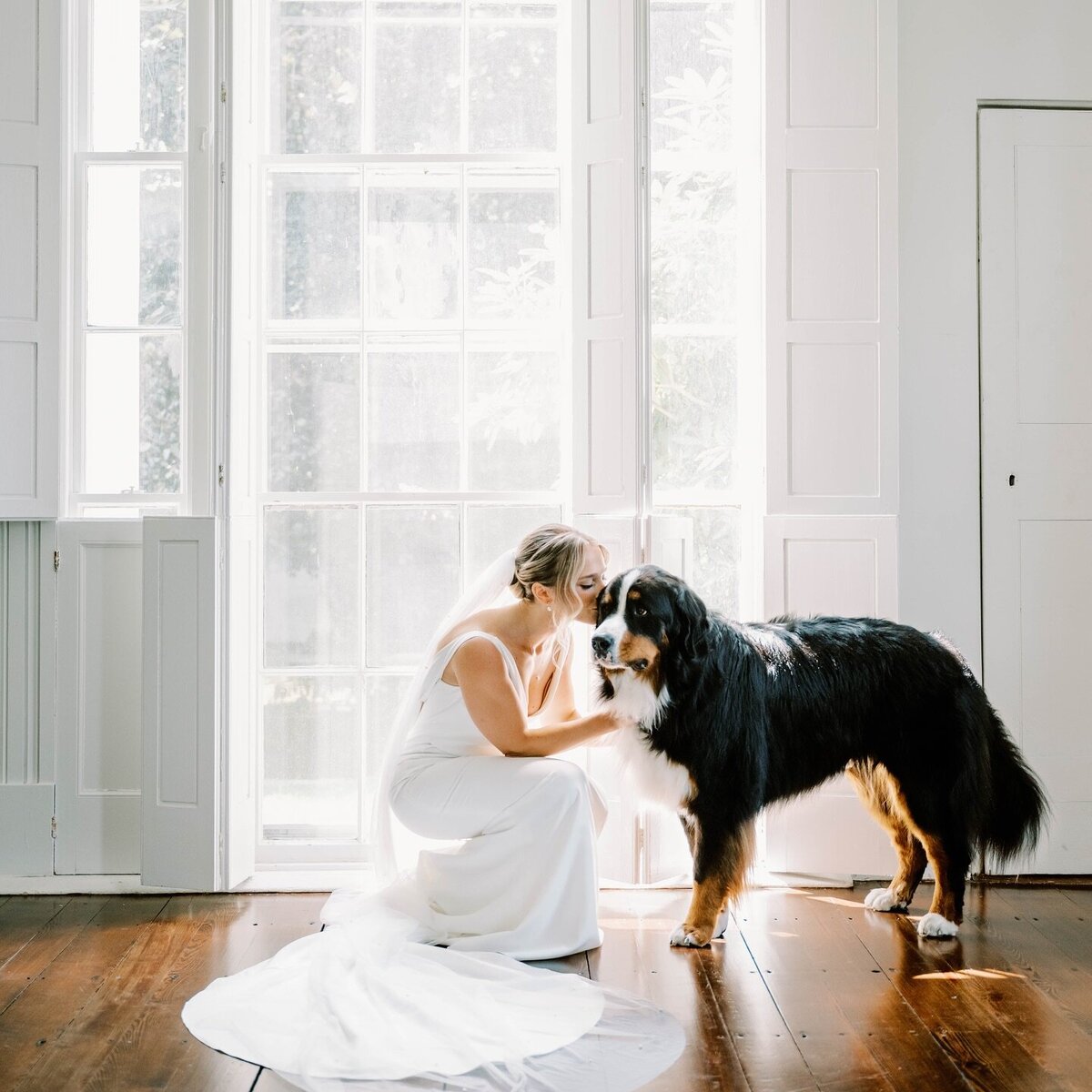 Wedding Photographer RI | A bride in a white dress kneels and gently touches a large black and brown dog in a bright room with tall windows.