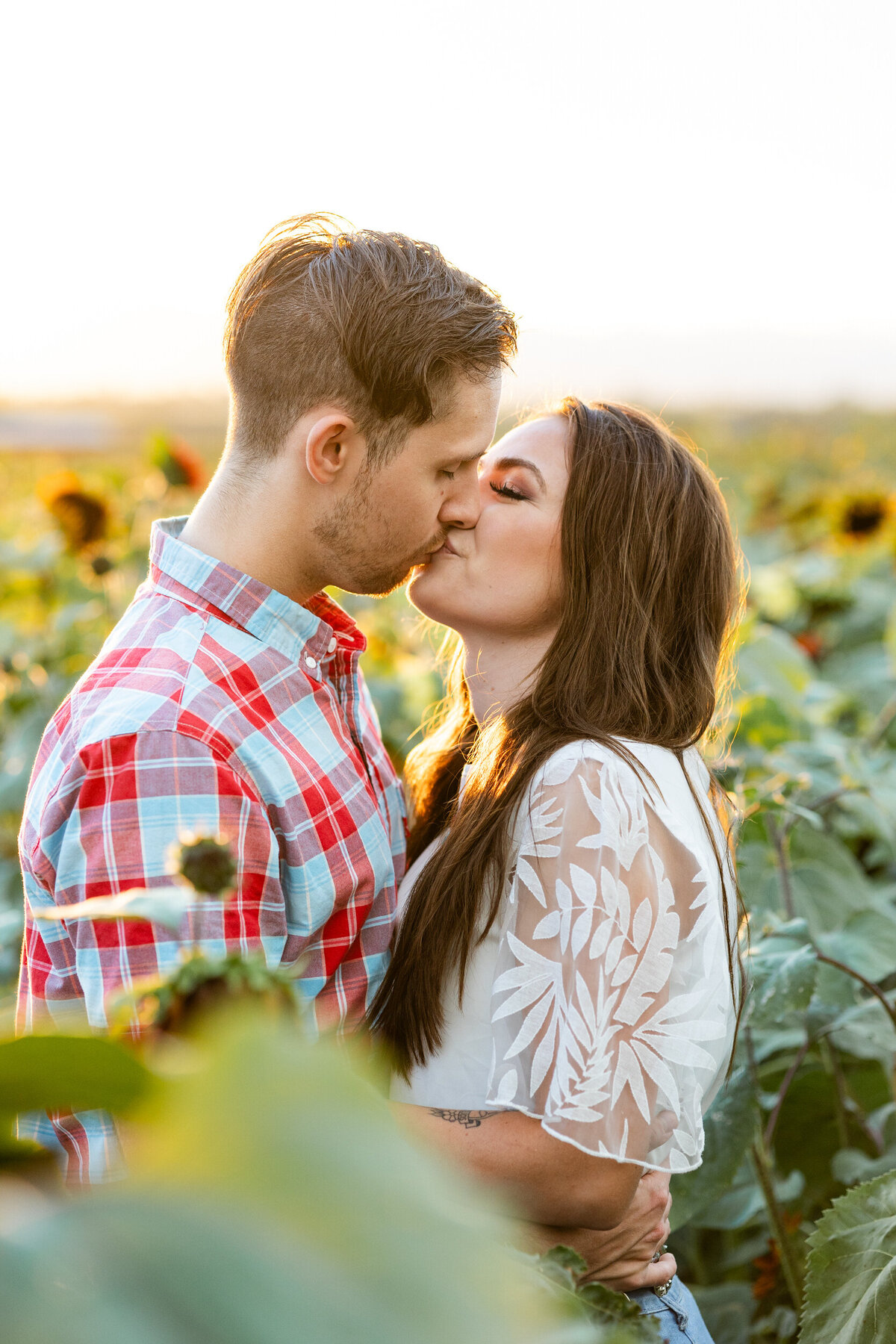 Colorado-sunflower-field-photography