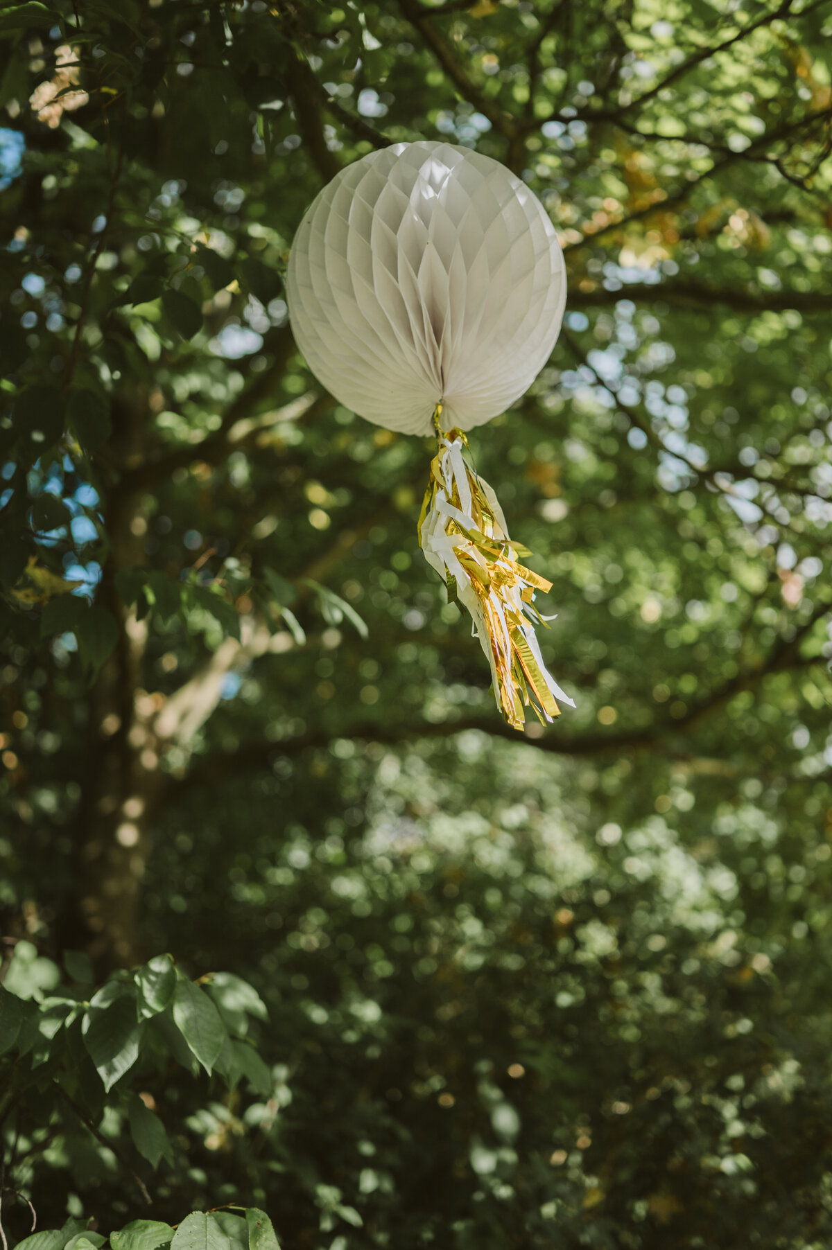 WEDDING preview Rick en Patricia De Zaag -51
