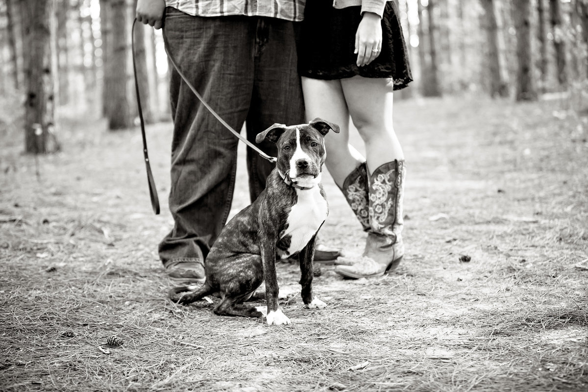 EngagementGallery0026