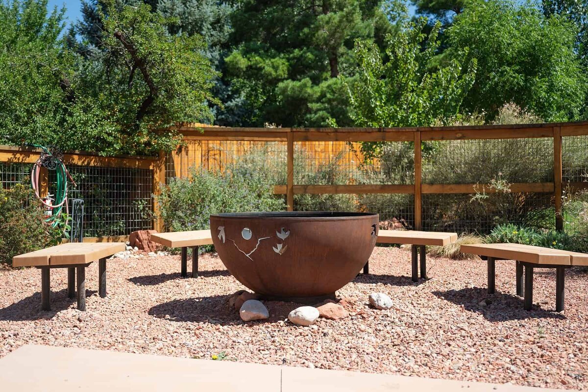 Fire pit for pets and guests