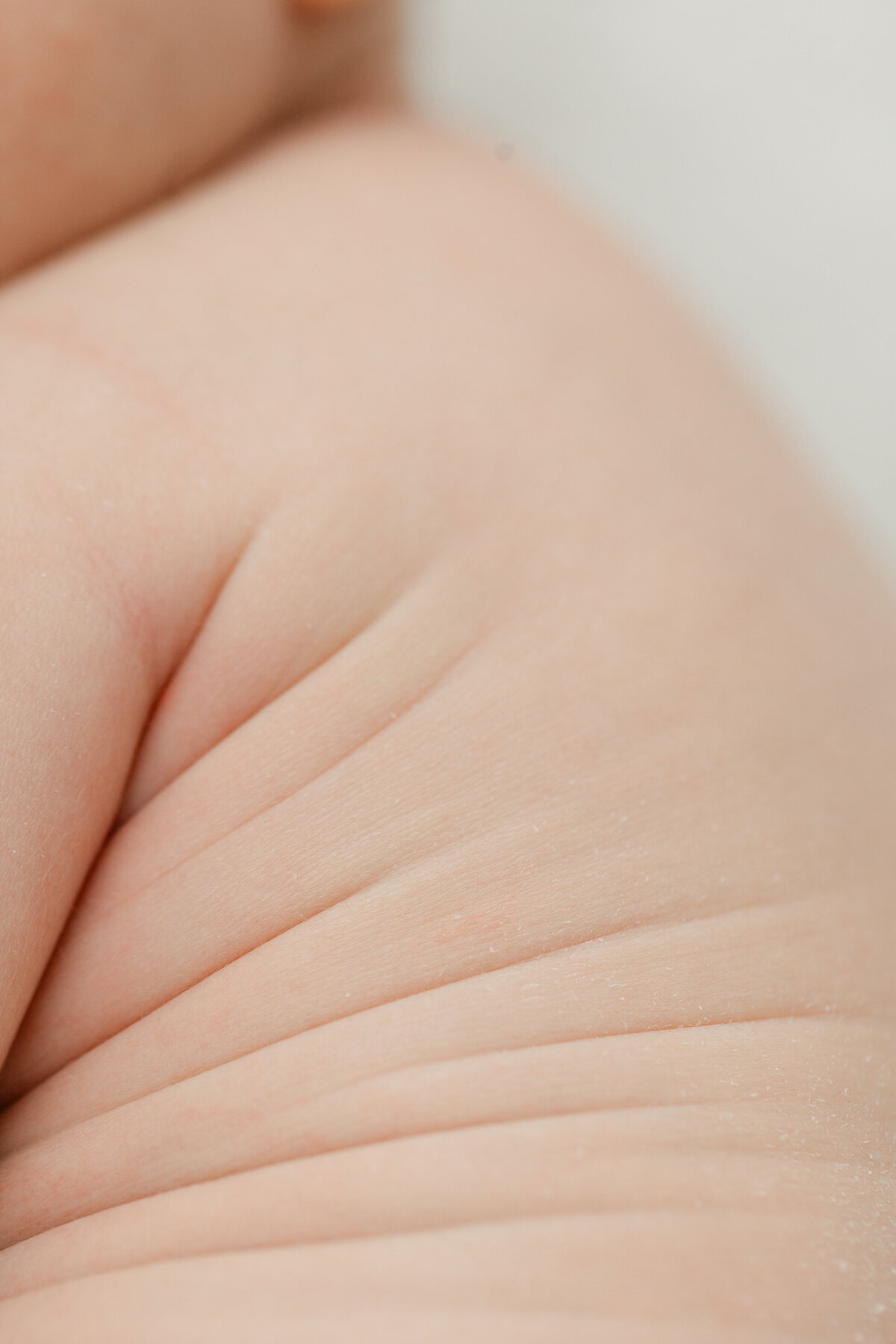 Newborn photography session at a Philadelphia photography studio - 6