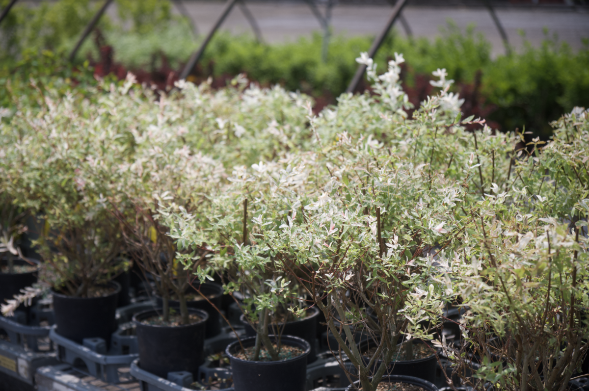 Screenshot 2025-07-17 at 11.13.52 PM