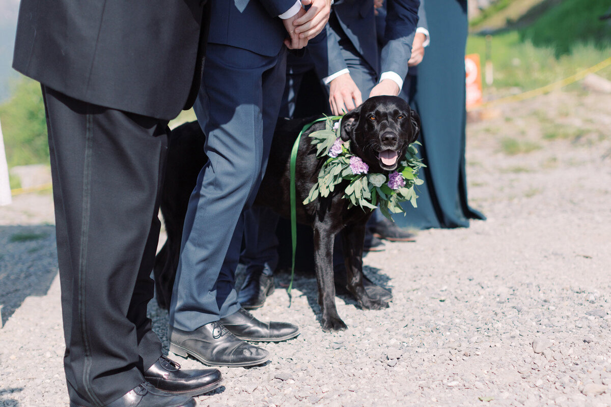 Alyeska-Wedding-Photographer-CorinneGraves-1019
