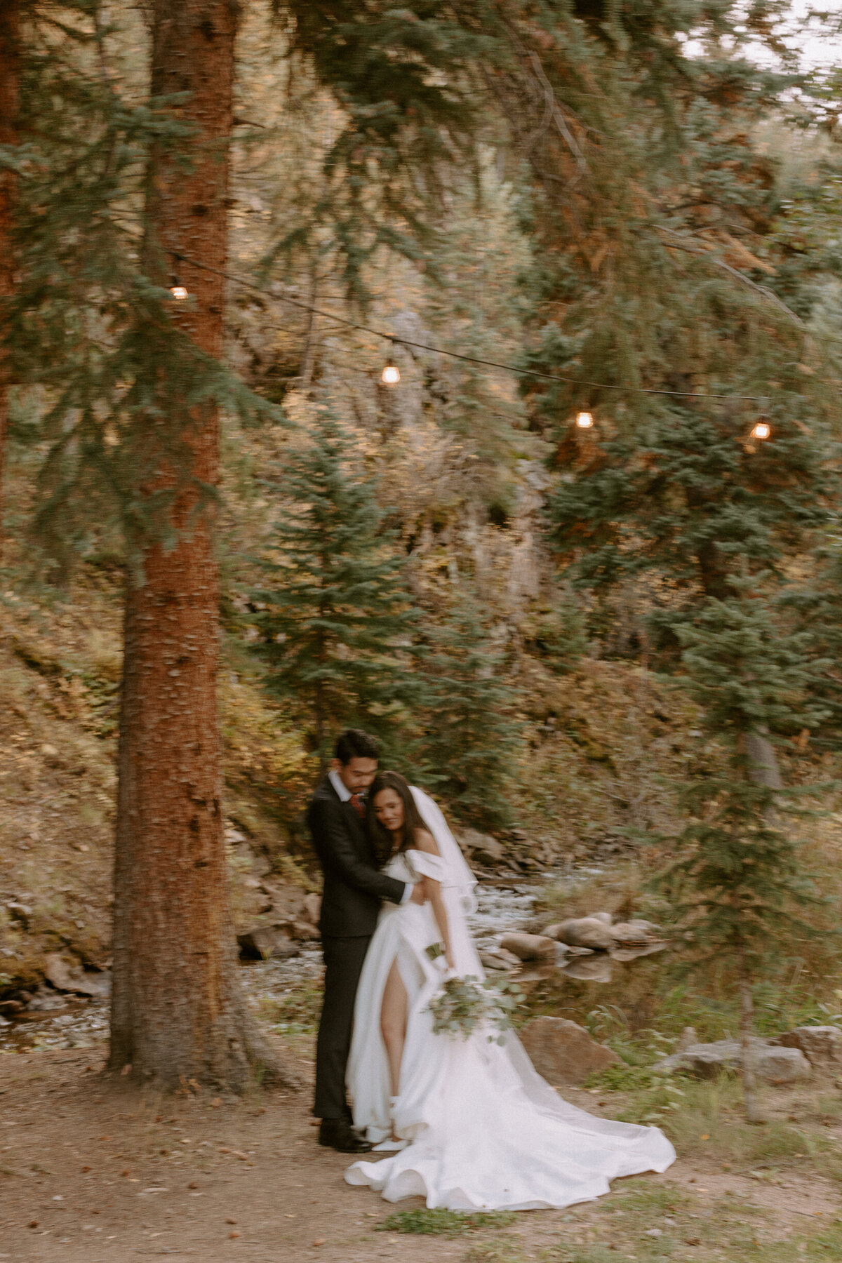 AhnaMariaPhotography_Wedding_Colorado_Daphne&Cy-91