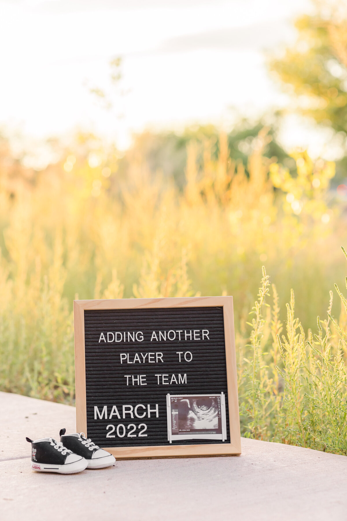 Pregnancy announcement with Erin Thompson Photography