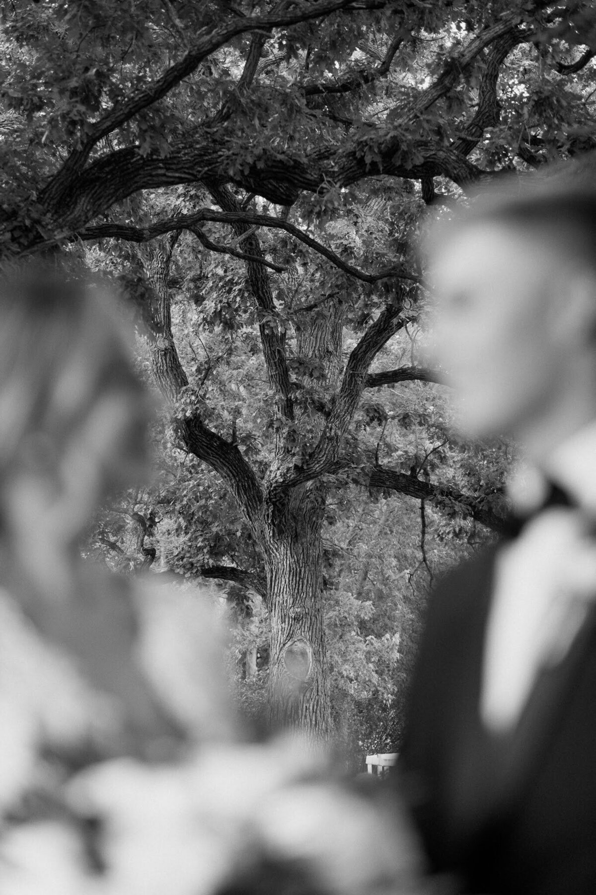 Nichole-Babiez-Photography-Dunham-woods-Geneva-Illinois-Wedding-luxury-editorial-timeless-modern-candid-bride-inspiration-chicago-photographer--94