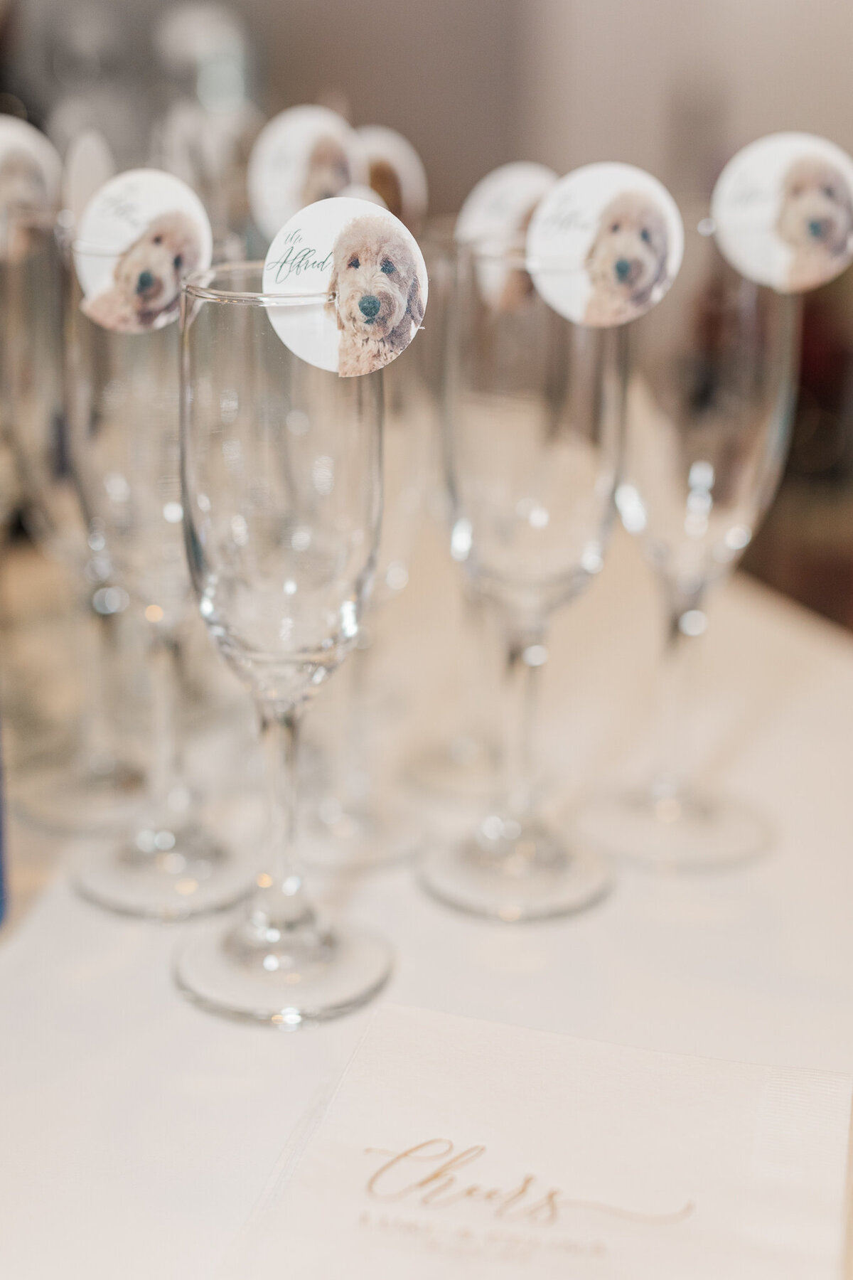 Celina+Luke_Spring_DC_Wedding-28