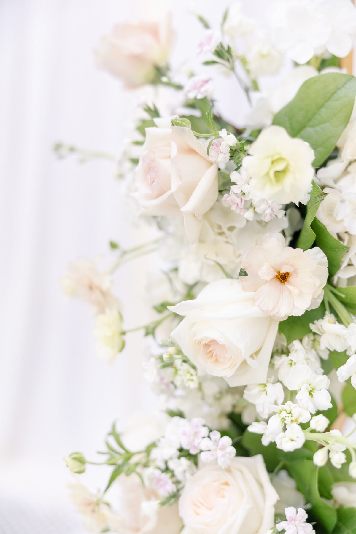 Dayton Arcade Klara & Colton Sneak Peeks-7102