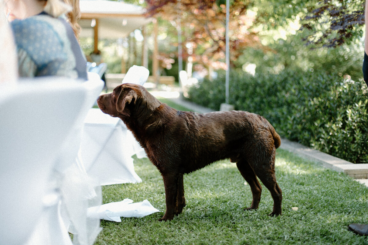 Mal and Tim's Wedding - RECEPTION PHOTOS JessicaCarrollPhotographer-305