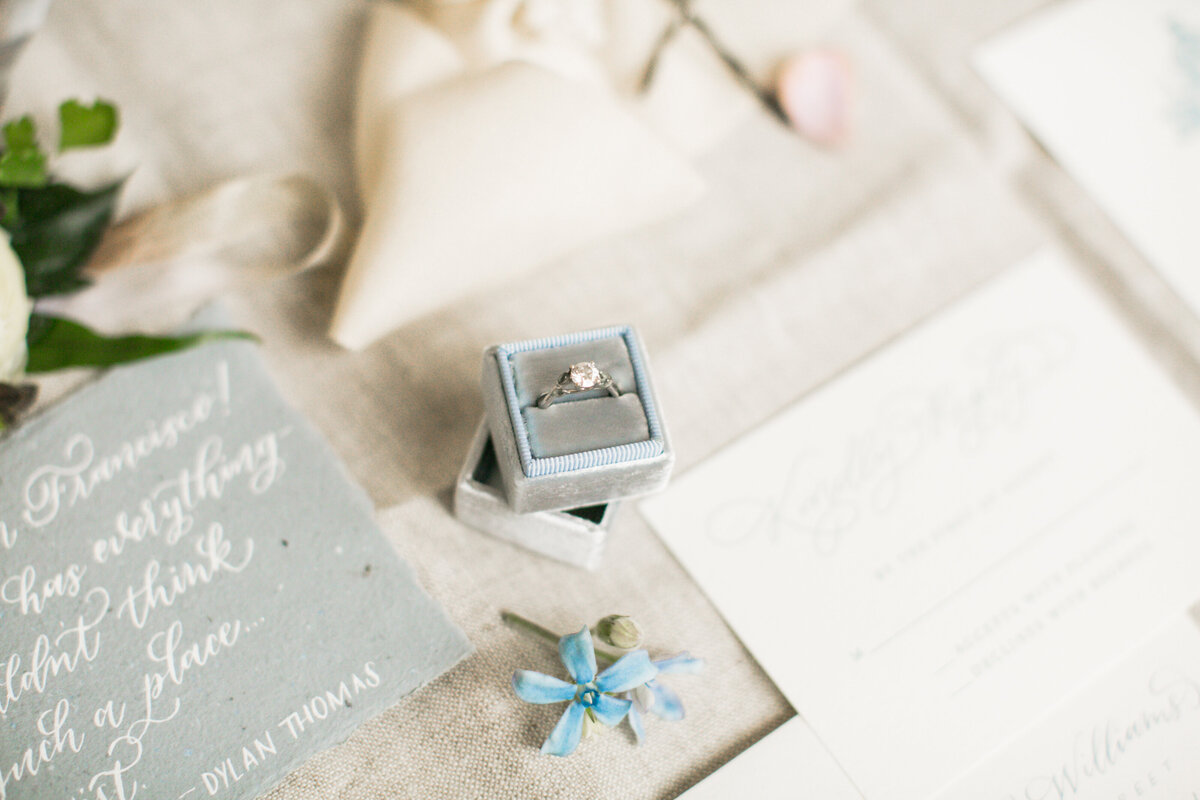 catie-coyle-photography-8