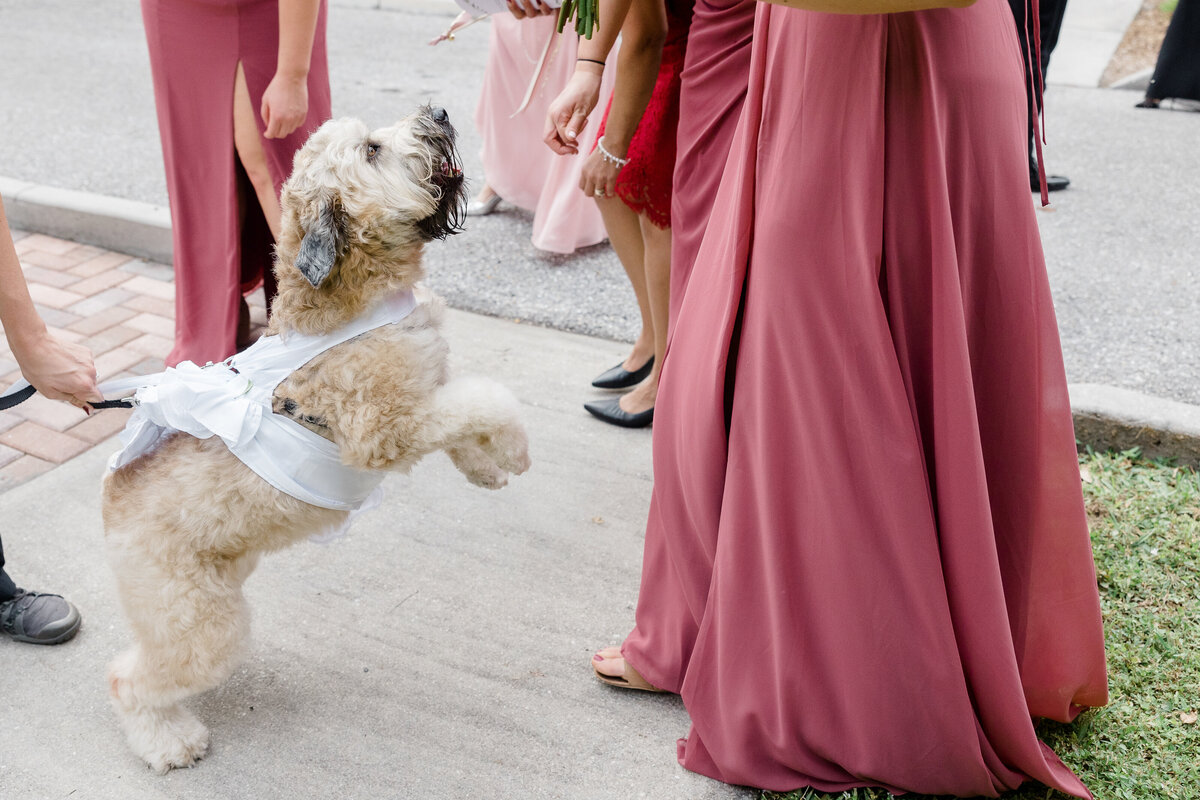 Powel Crosley Estate Wedding147