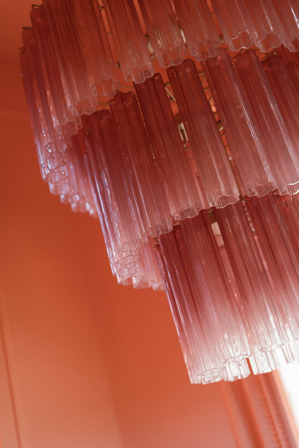bardogallery-web--6