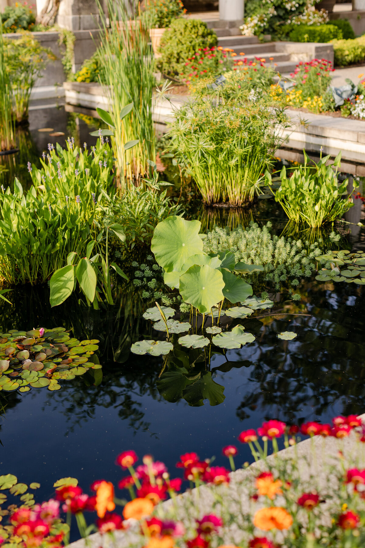flowers-in-garden