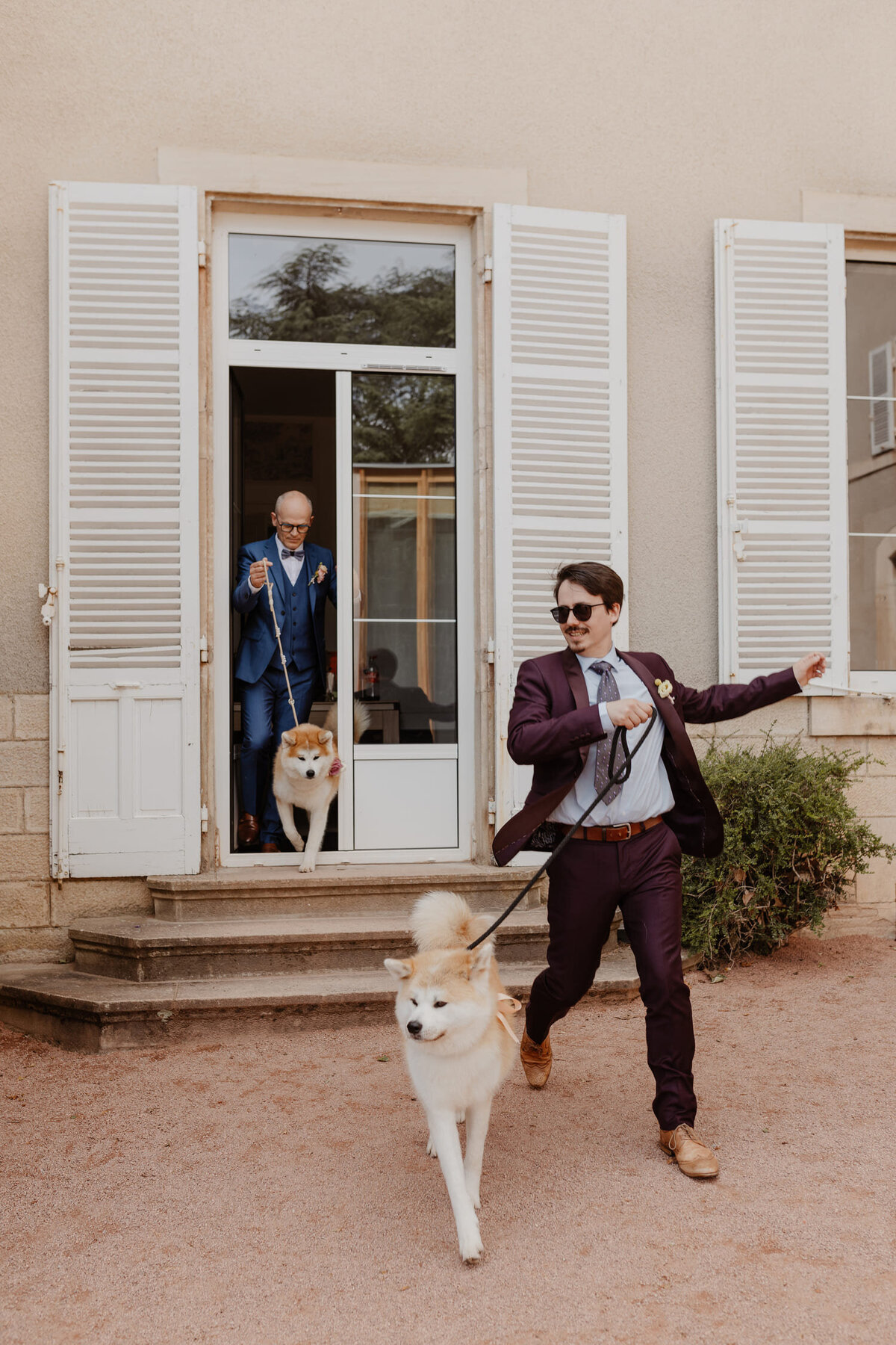 Aryna-et-Nathan-ceremonie-mariage-chiens-3