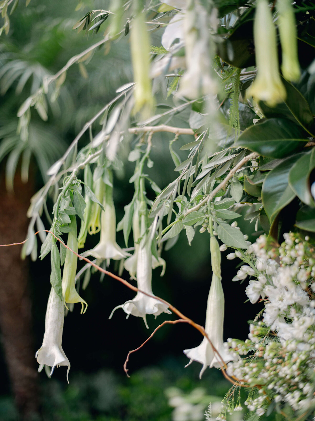 Intimate-Hotel-Bel-Air-Classic-Wedding-Photographer-0591