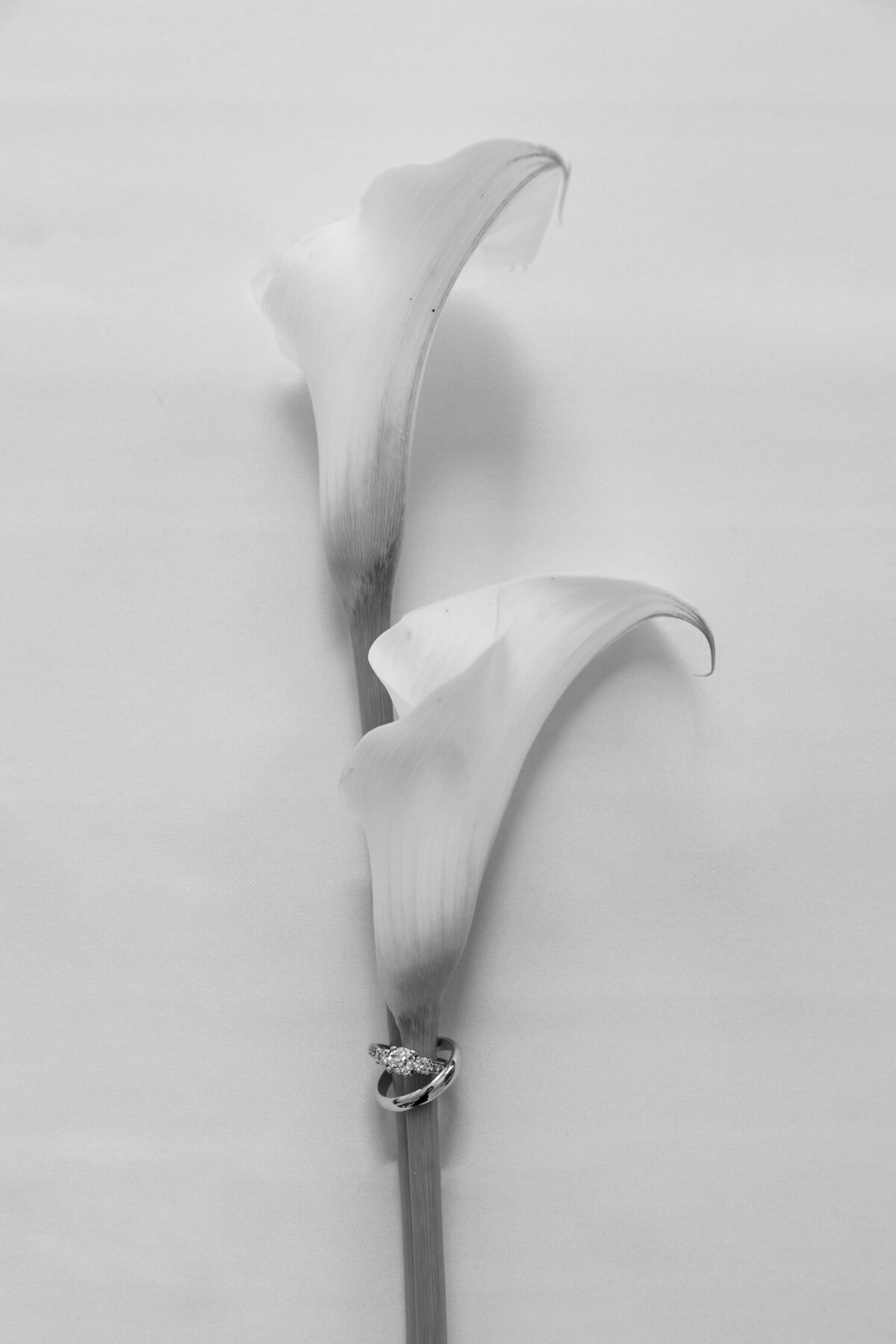 7G8A1777-Edit