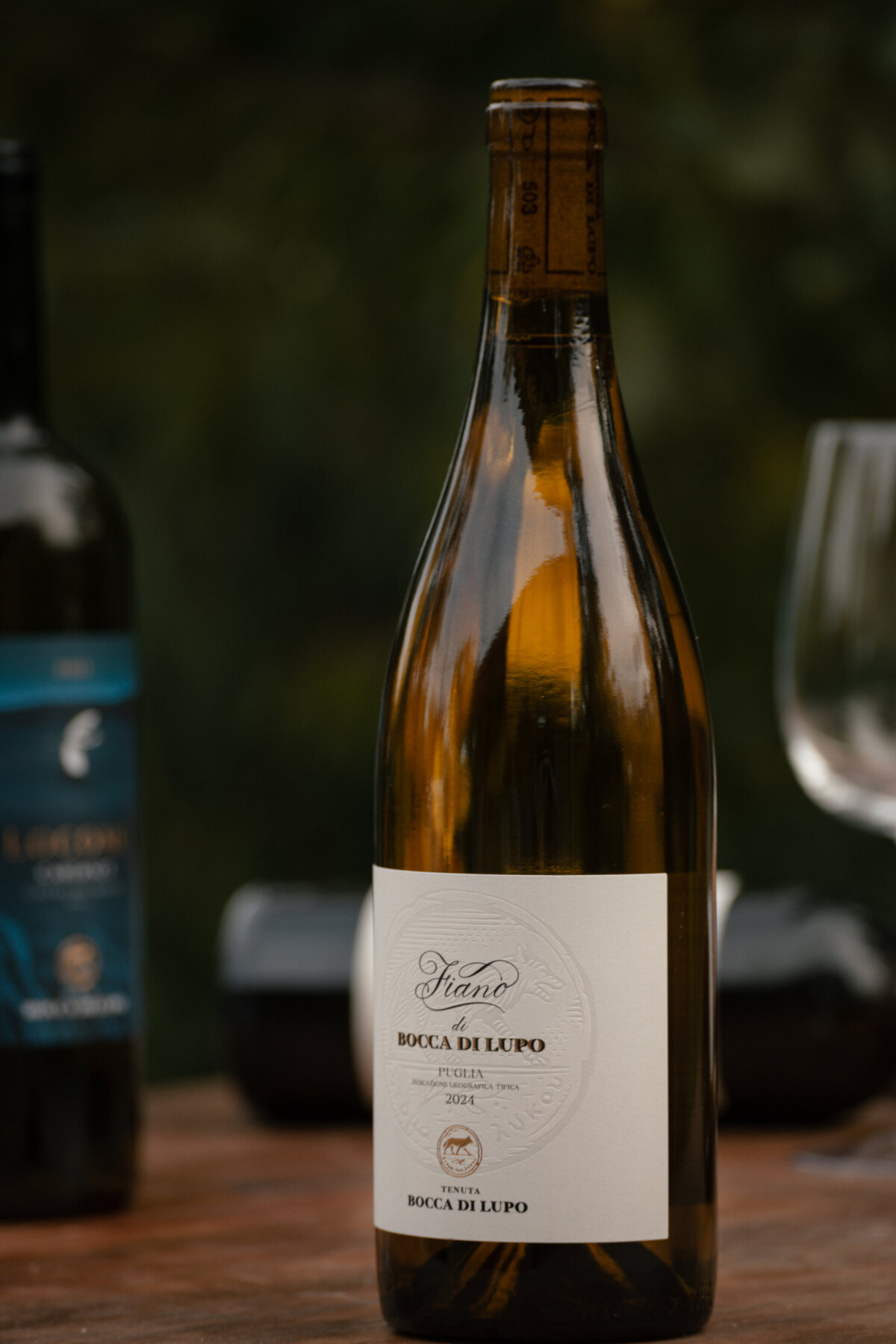 24Nov2025_BoccaDiLupo-96