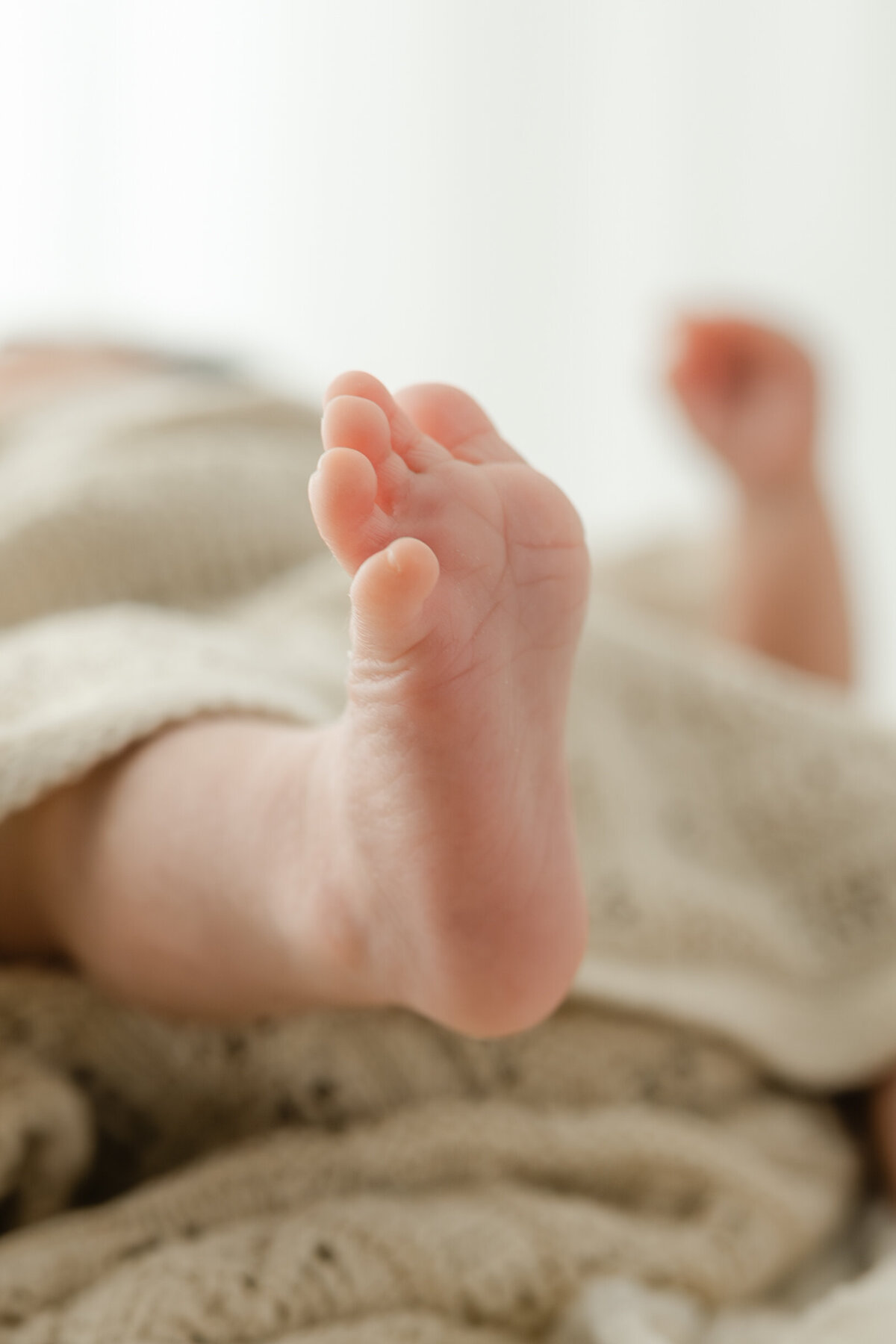Close up of newborn's feet during natural light Barrie newborn photography session 