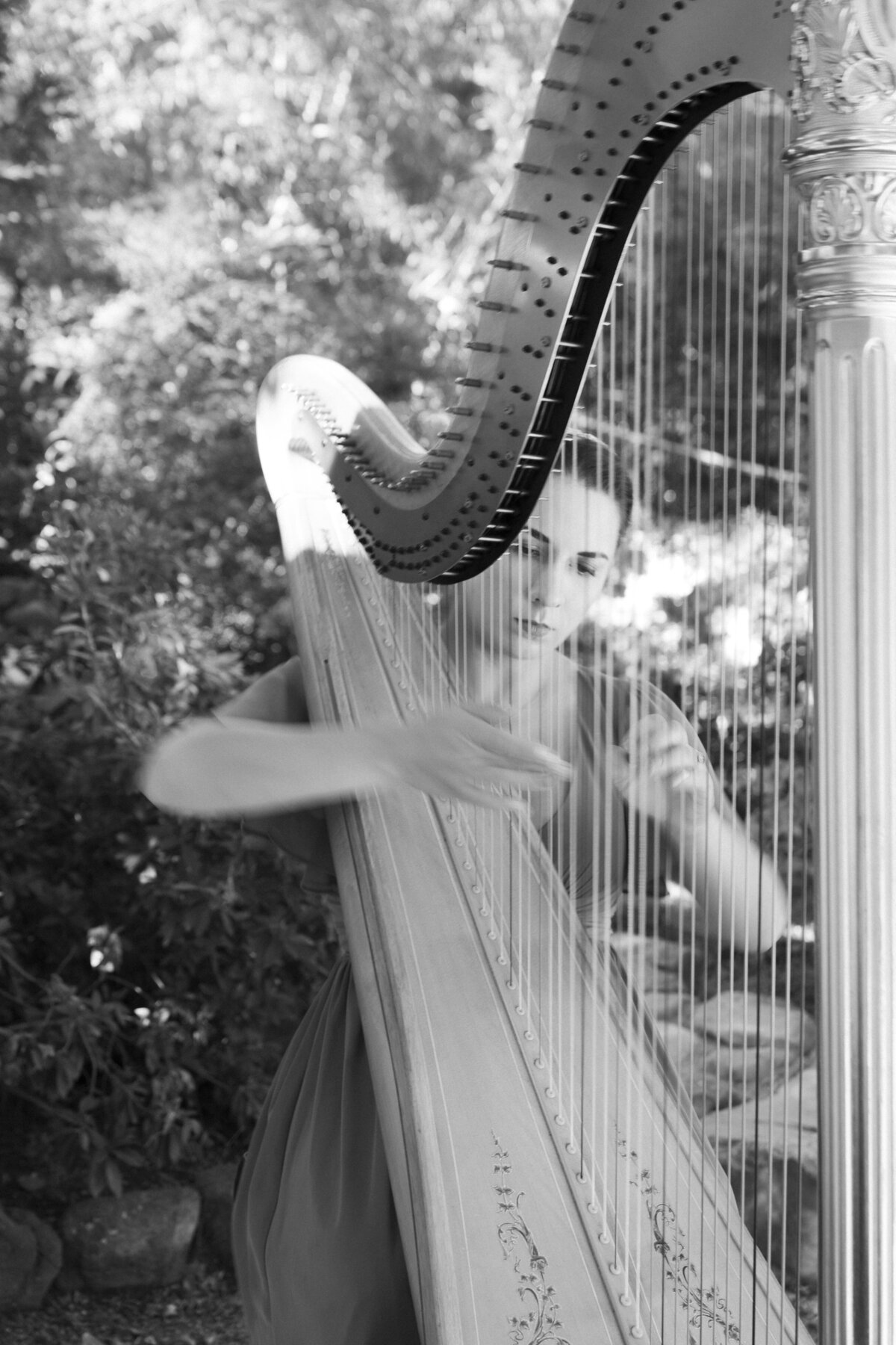 harpist