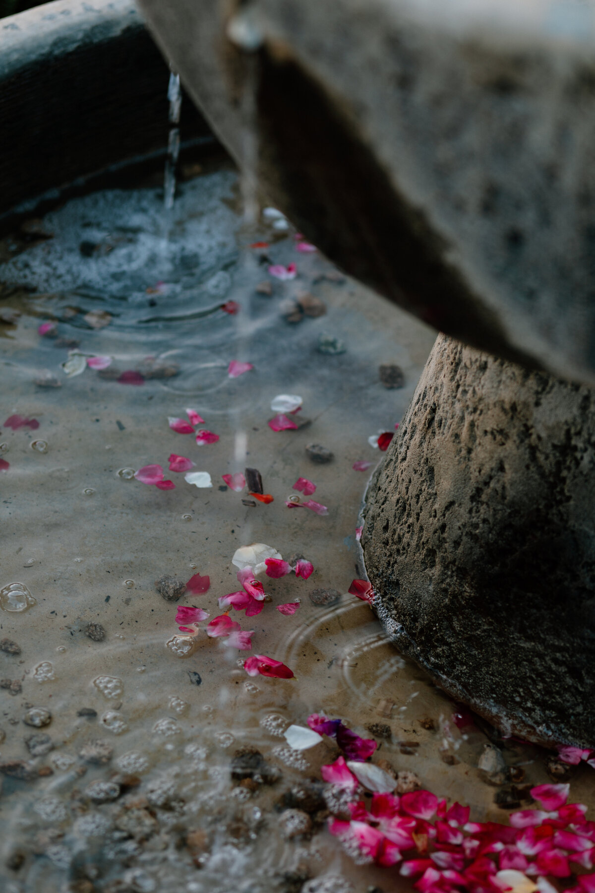 C+J_PREVIEWS_KAYLAESPARZAPHOTOGRAPHY-173