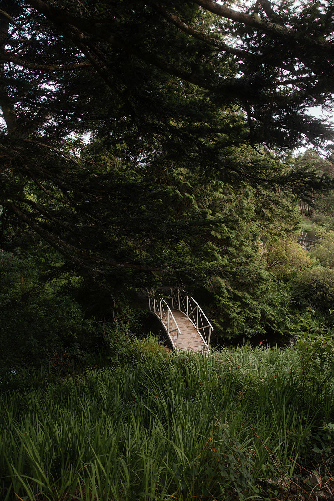 ballynahinch-castle-wedding-photographer-ireland-luxury (104)