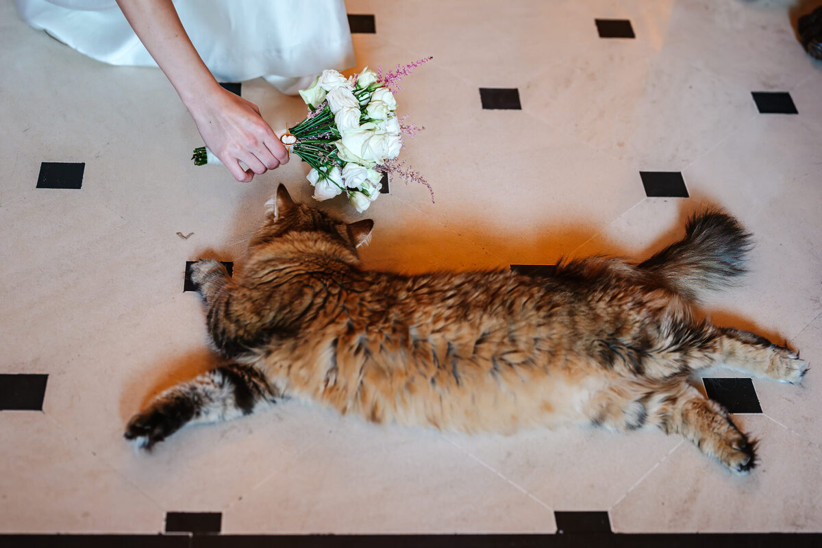 New-Portfolio-adds-Hertfordshire-wedding-photographer-56