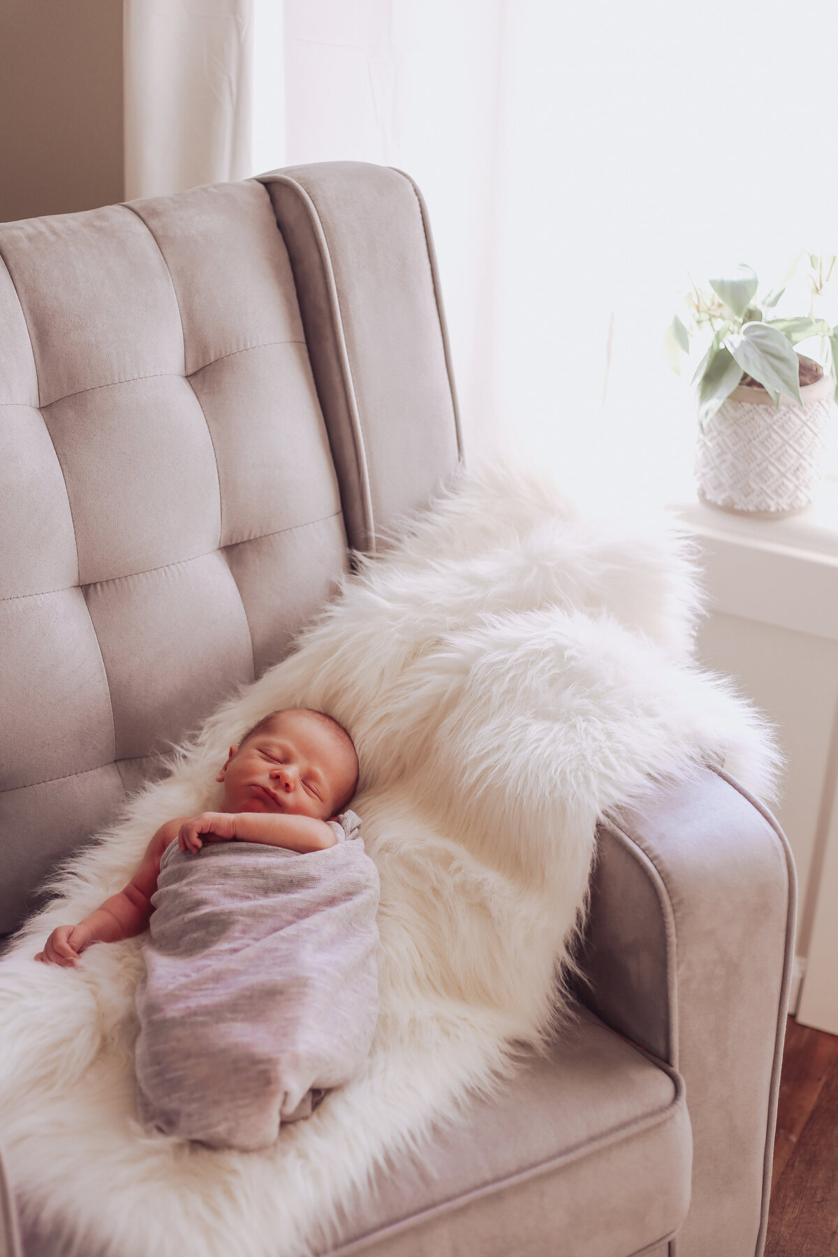 newborn session