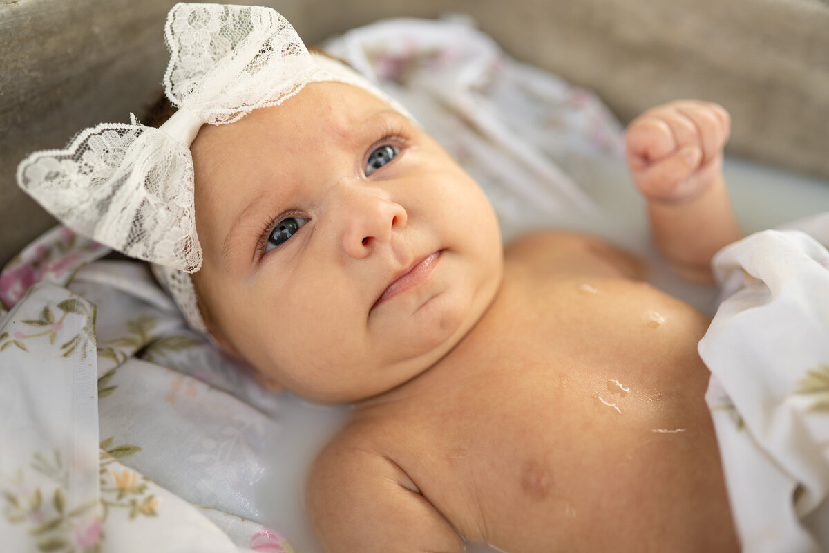 indiana_family_photographer_evie_jill_photography-59