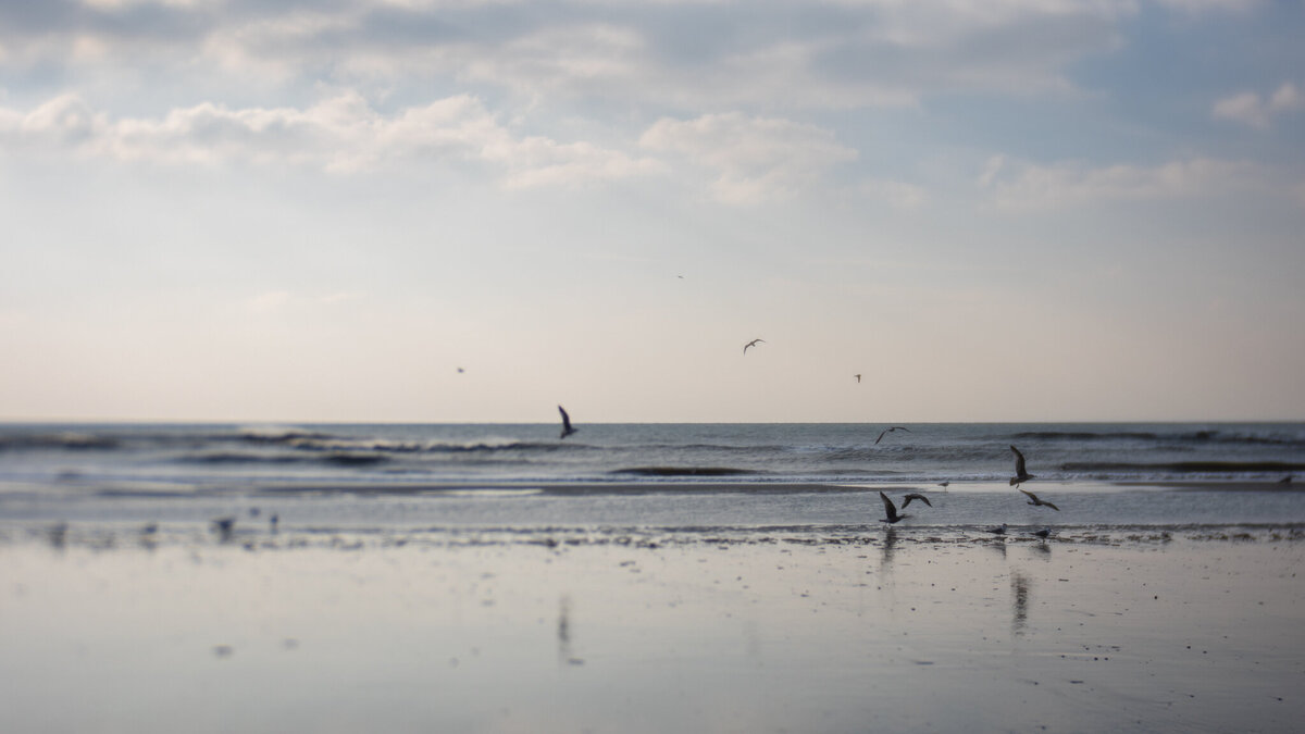 fine_art_photographer _002