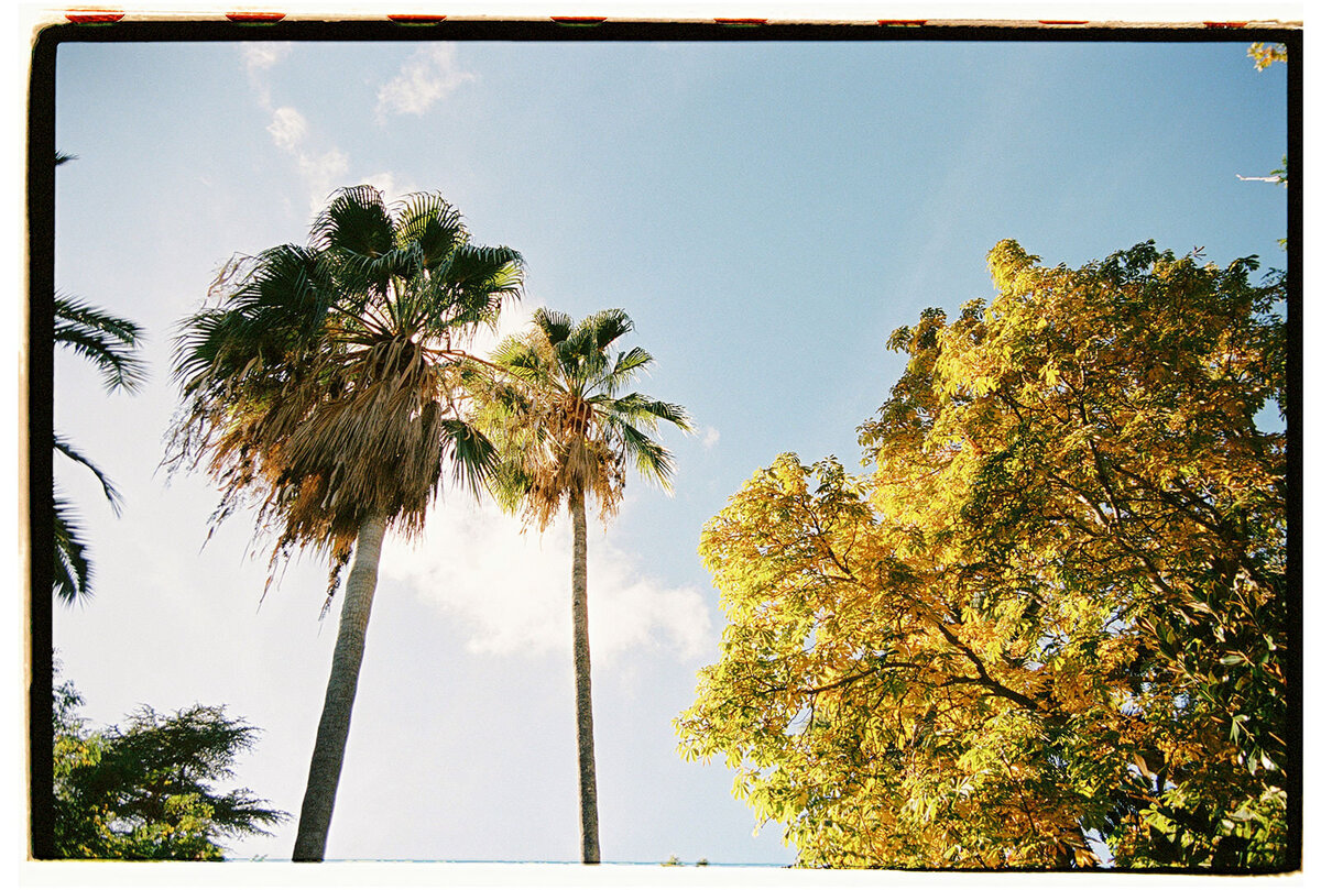 Film-wedding-photography-spain318