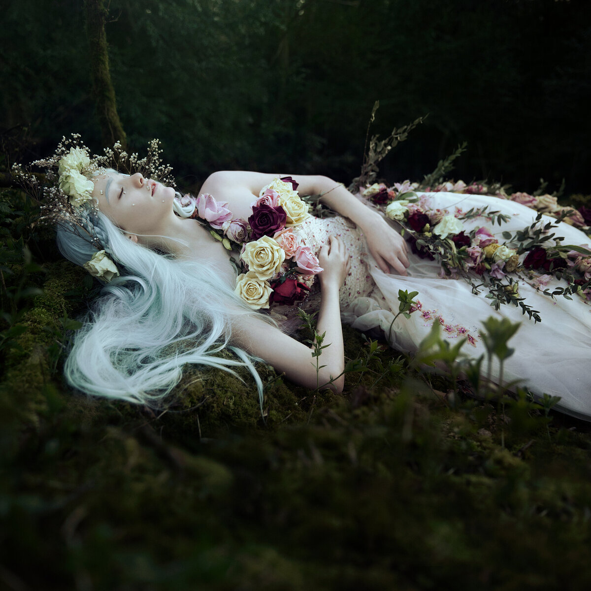 Bella Kotak -5(1)