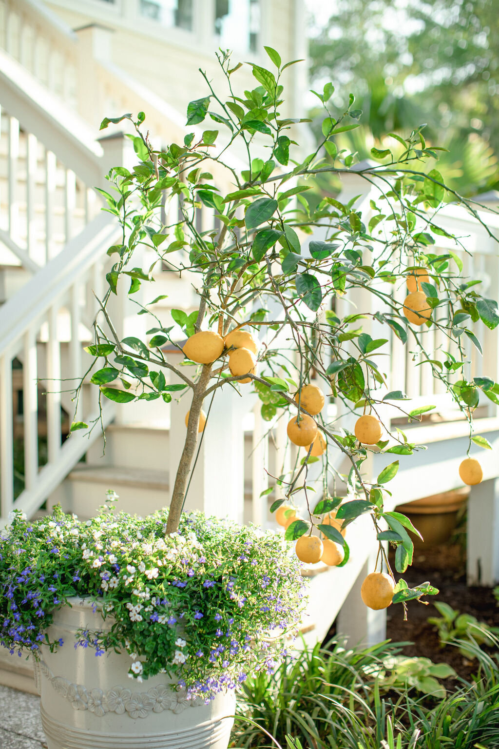 KnowlesWedding-HaleyJanePhotography-40