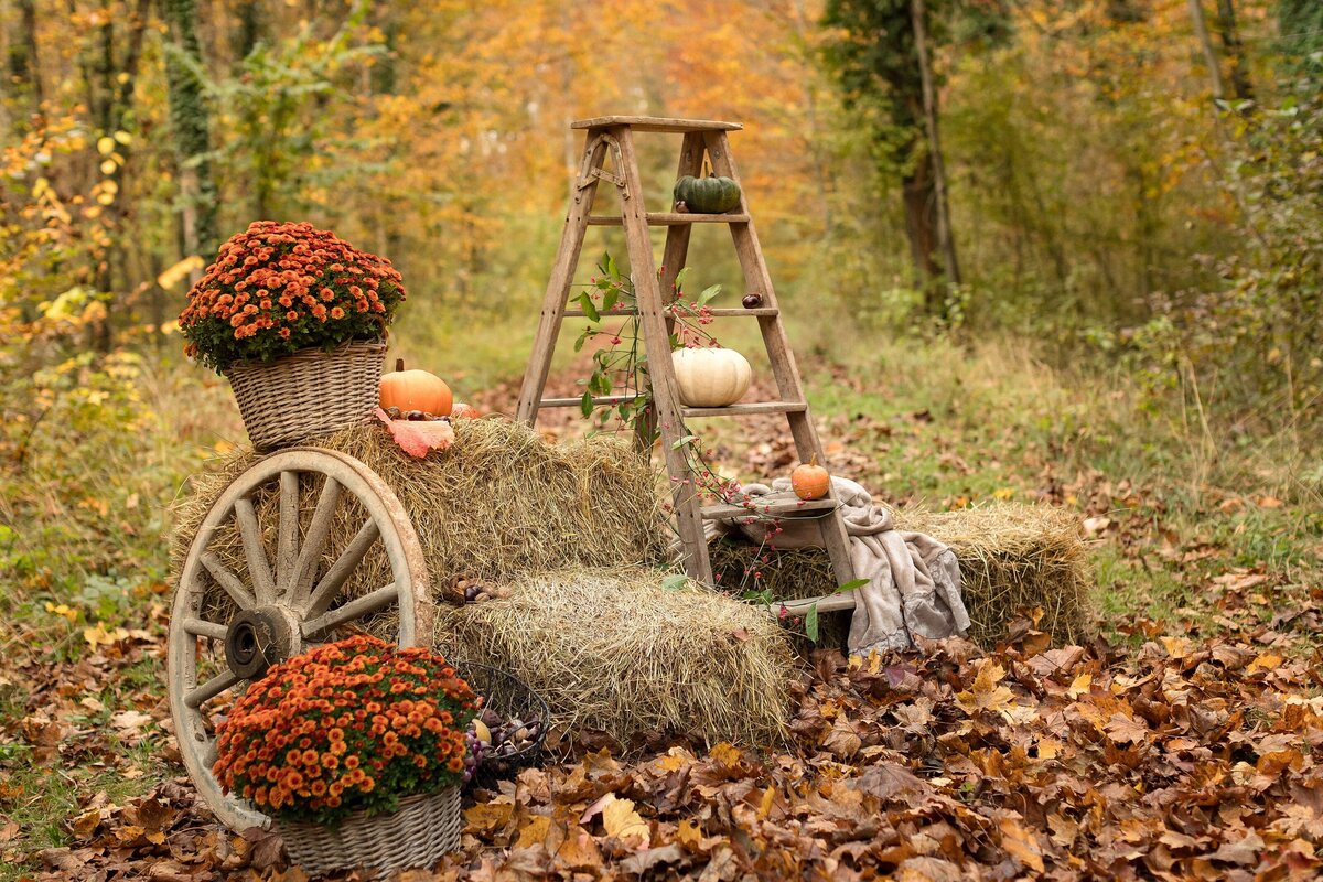 Herbst-Mini-Shooting-2024-Dekoration-Familienfotograf-Aargau-14-AR9A3417